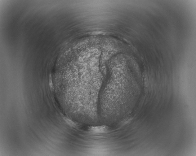 X0000066120089200603311547