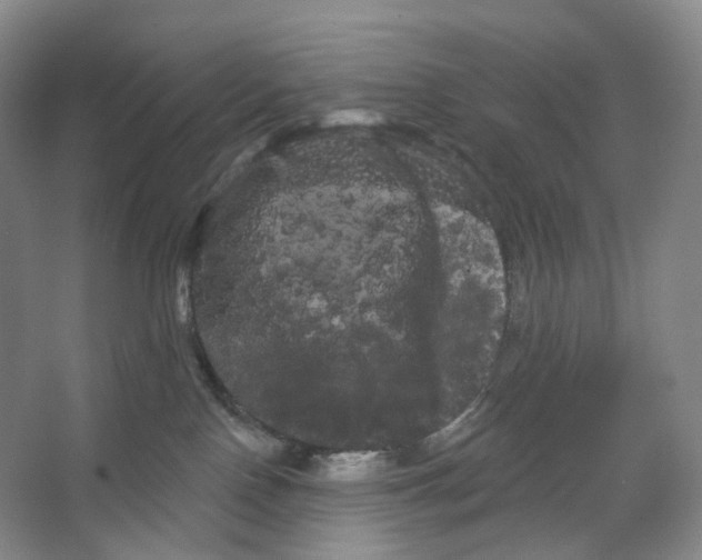 X0000066120090200603311547