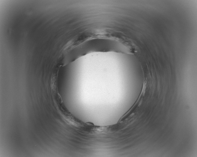 X0000066120092200603311547