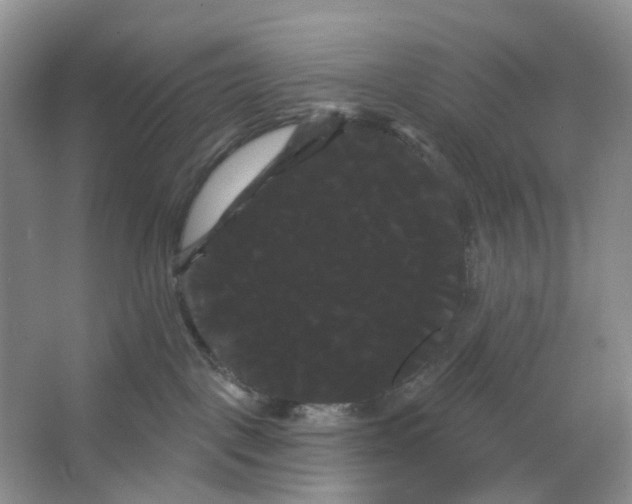 X0000066120093200603311547