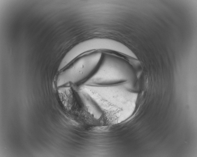 X0000066120094200603311547