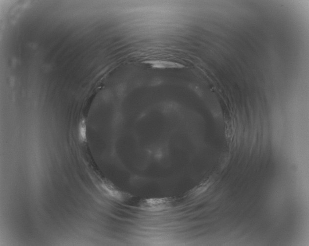 X0000066120095200603311547