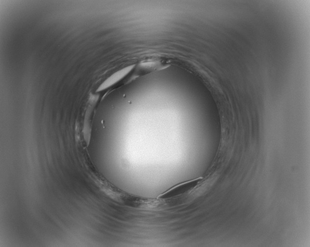 X0000066120096200603311547