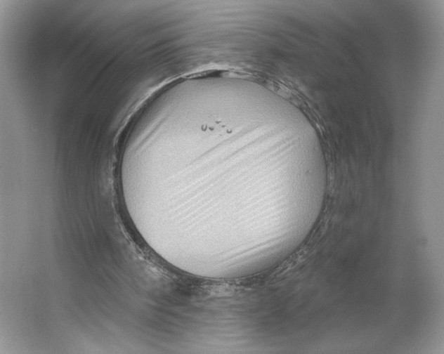 X0000066120098200603311546