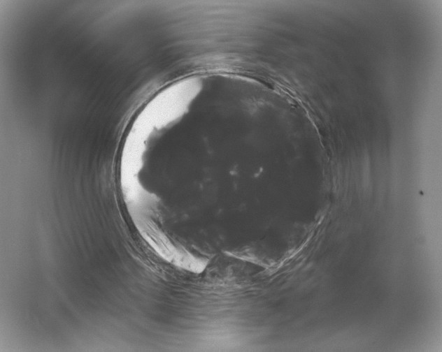 X0000066120099200603311546