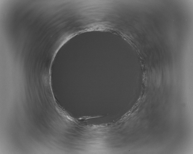 X0000066120100200603311546