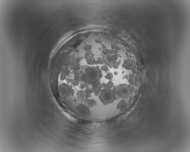 X0000066120101200603311546