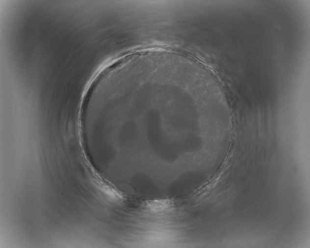 X0000066120102200603311546