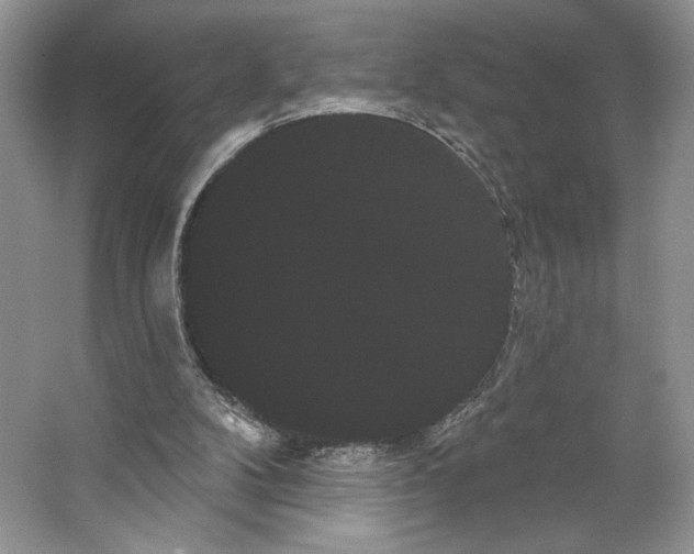 X0000066120104200603311546