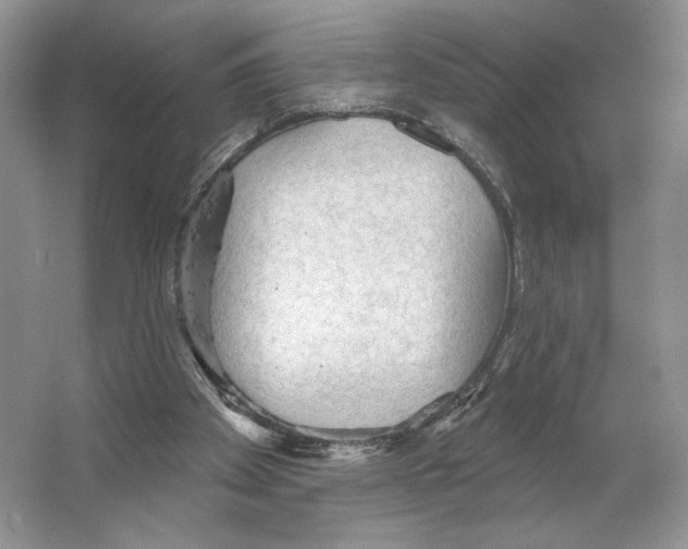 X0000066120105200603311546