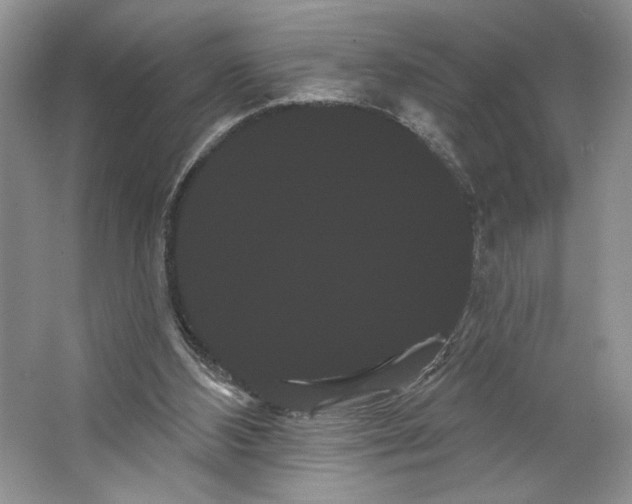 X0000066120108200603311546