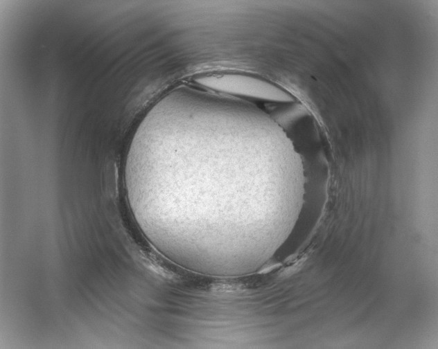 X0000066120109200603311546