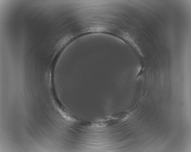 X0000066120110200603311546