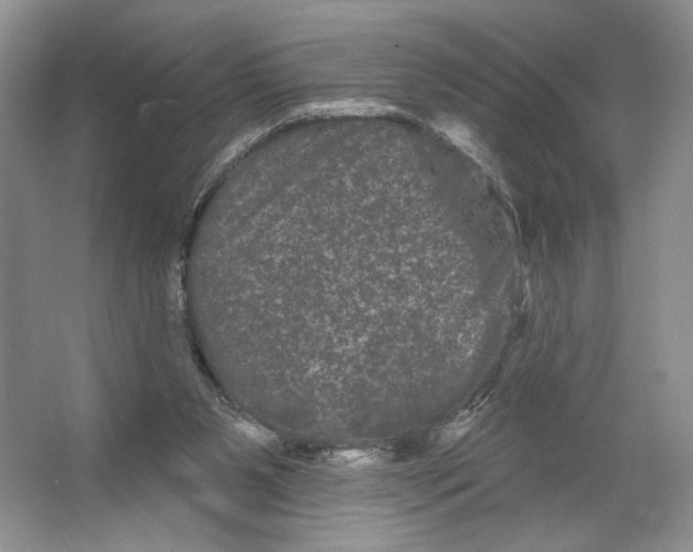 X0000066120111200603311546