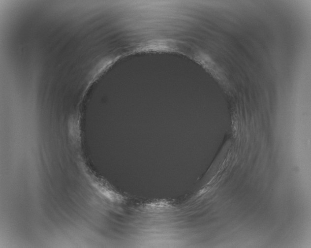 X0000066120112200603311546