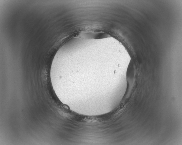 X0000066120113200603311546