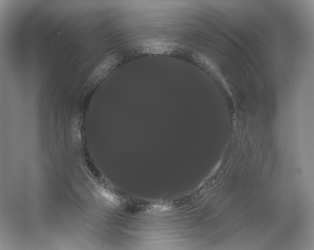 X0000066120114200603311546