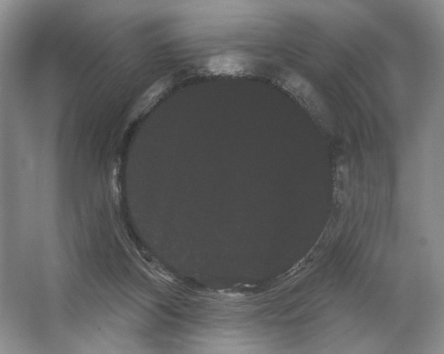 X0000066120116200603311546