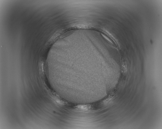 X0000066120117200603311546