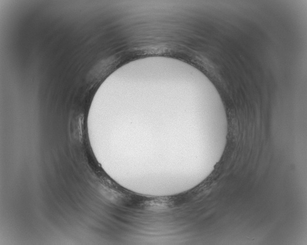 X0000066120118200603311546