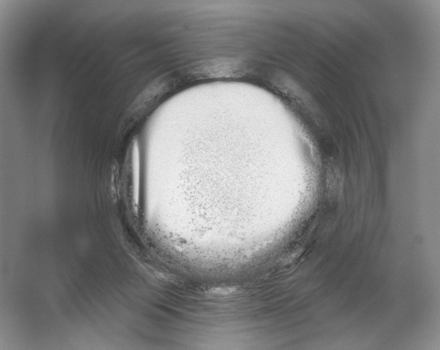 X0000066120119200603311546