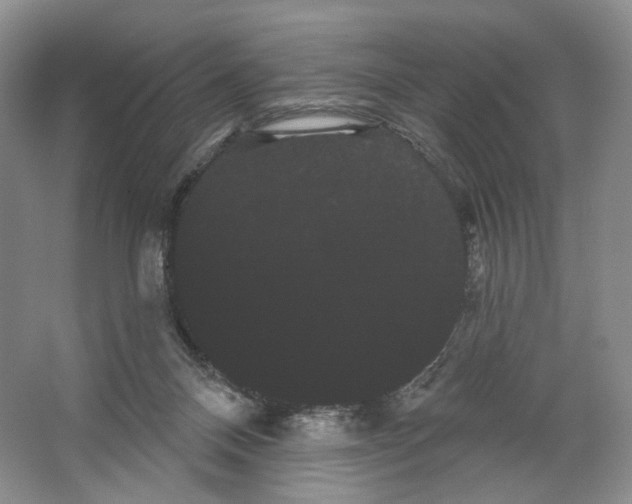 X0000066120120200603311546