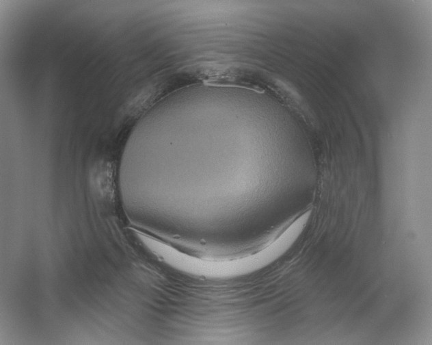 X0000066120121200603311546