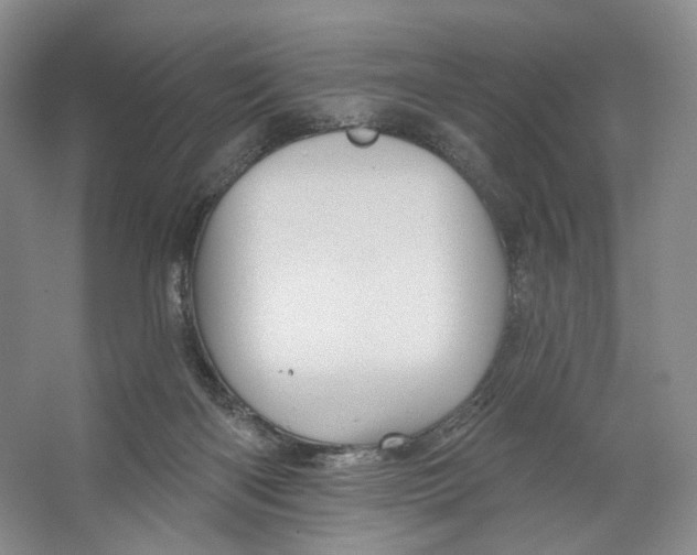 X0000066120122200603311546