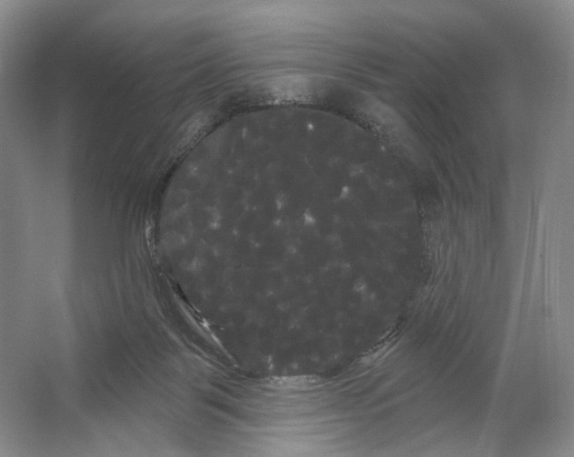 X0000066120123200603311546