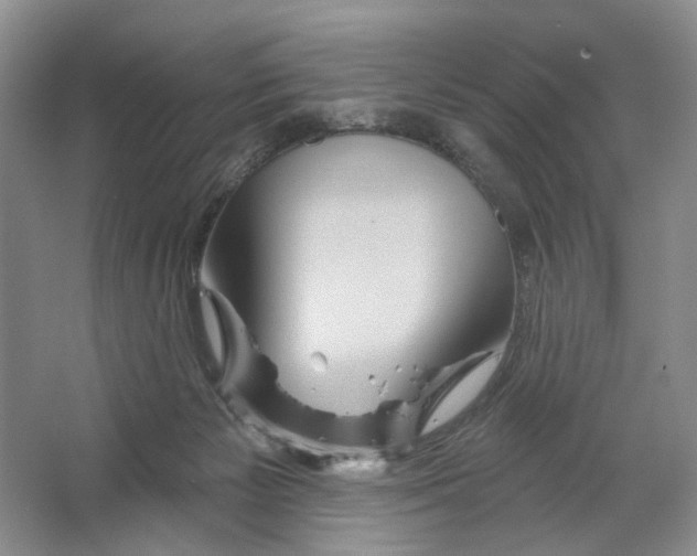 X0000066120125200603311546