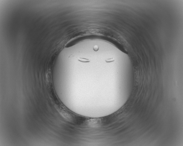 X0000066120126200603311546