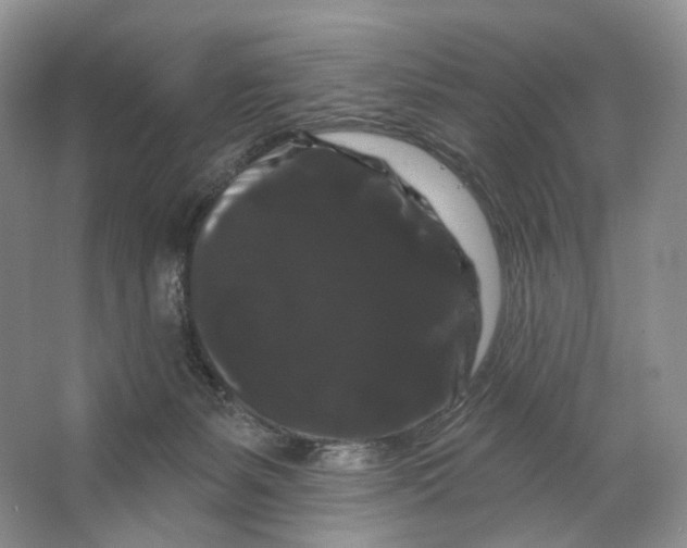 X0000066120127200603311545