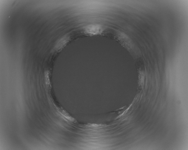 X0000066120128200603311545