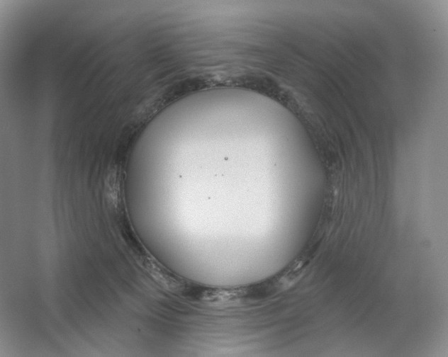 X0000066120129200603311545