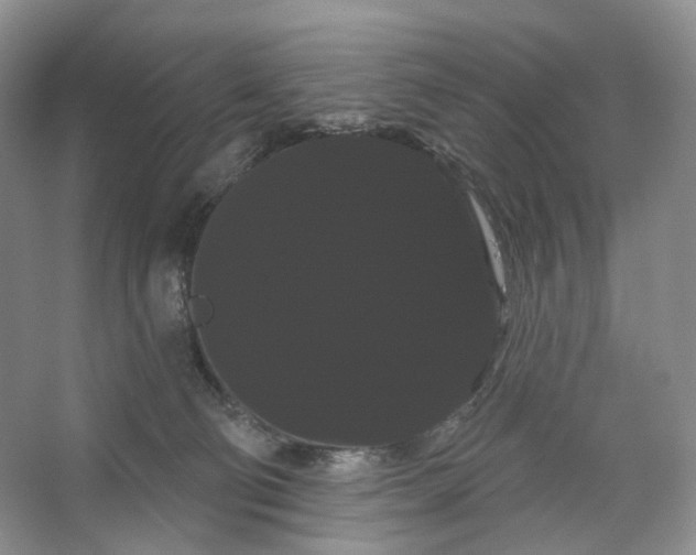 X0000066120130200603311545