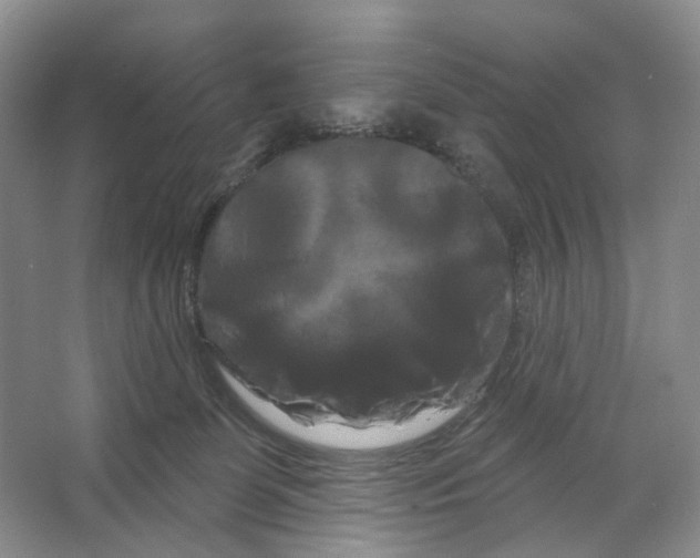 X0000066120131200603311545