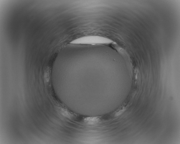 X0000066120133200603311545