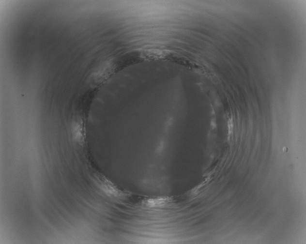 X0000066120134200603311545