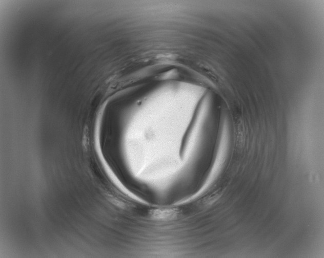 X0000066120135200603311545