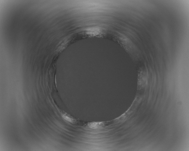 X0000066120136200603311545