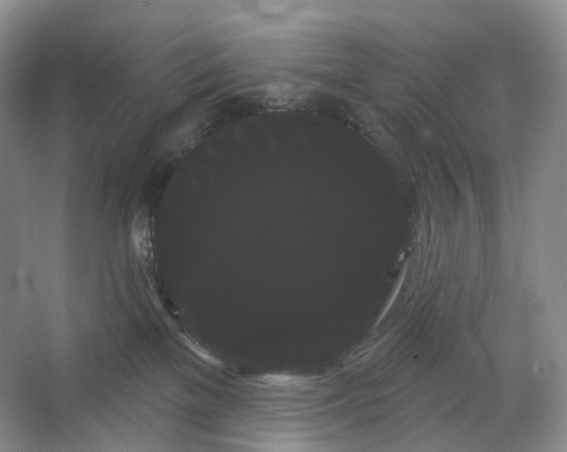 X0000066120137200603311545