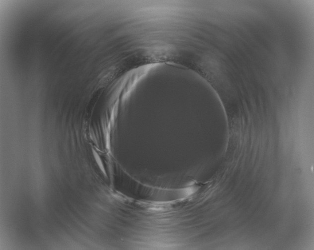 X0000066120139200603311545