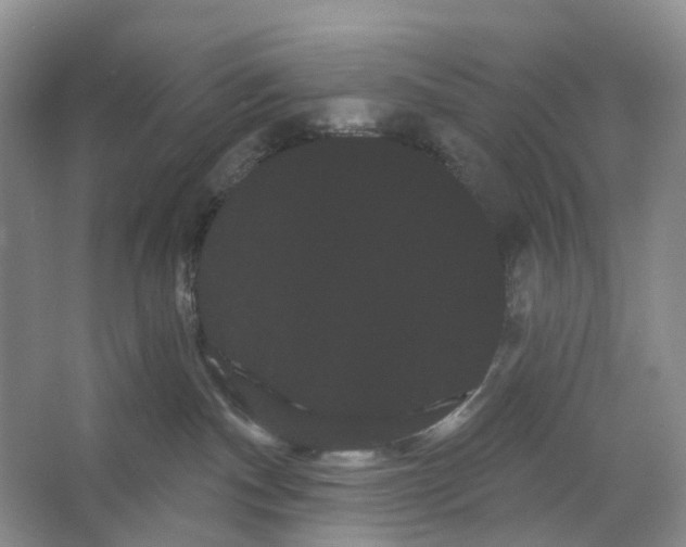 X0000066120140200603311545