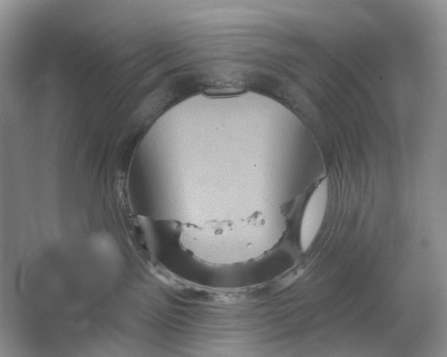 X0000066120141200603311545