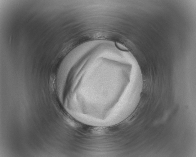 X0000066120142200603311545