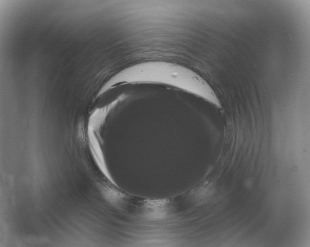 X0000066120143200603311545