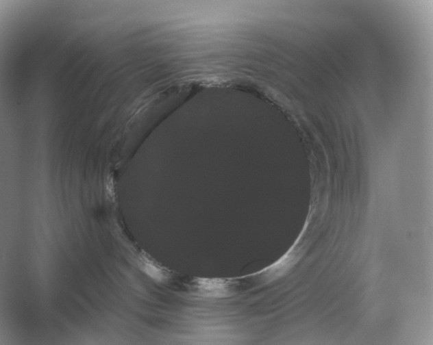 X0000066120144200603311545