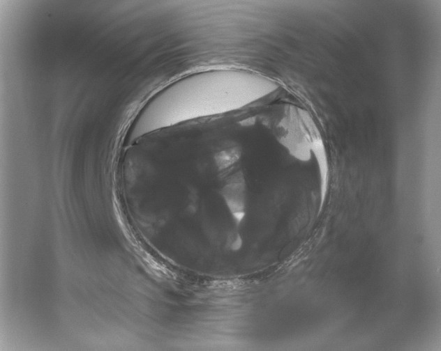 X0000066120145200603311544