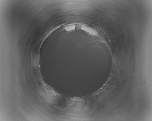 X0000066120146200603311544