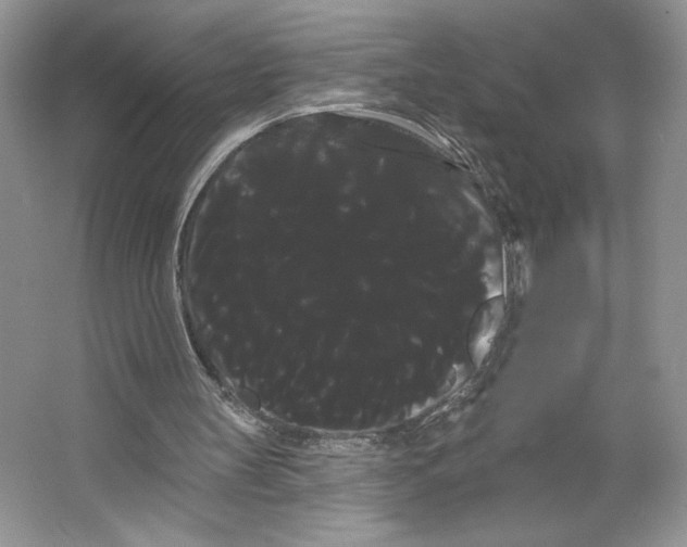 X0000066120147200603311544